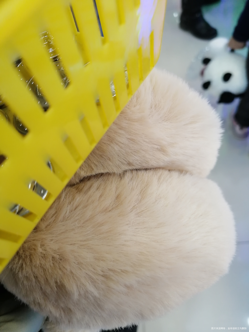 今天的运气真是棒棒哒!