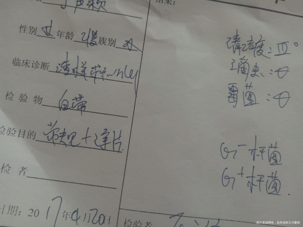 可以帮我看看这个化验单么