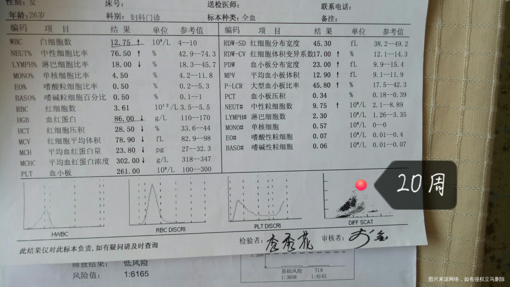 今天24周做的产检怎么问题这么多呢?