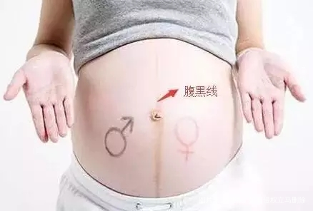 一张动图看清怀孕后准妈妈的内脏被挤成什么样