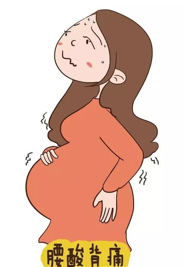 一张动图看清怀孕后准妈妈的内脏被挤成什么样