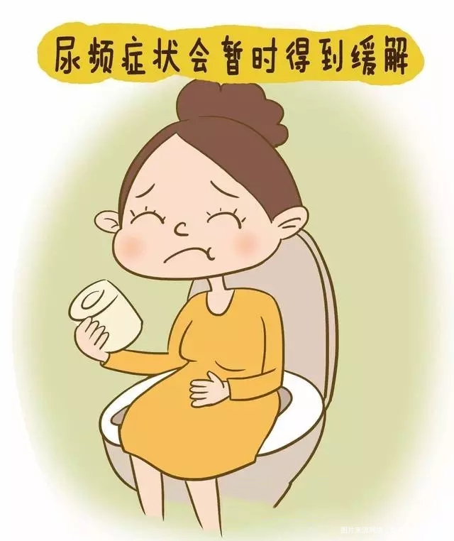 一张动图看清怀孕后准妈妈的内脏被挤成什么样