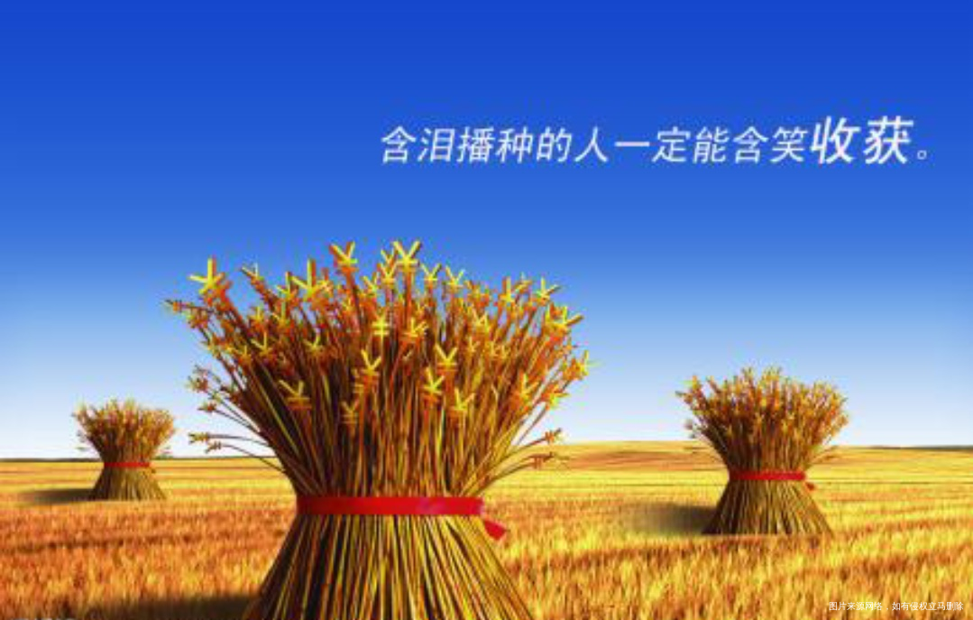 #我要吐槽# 这两年求医之路的艰辛