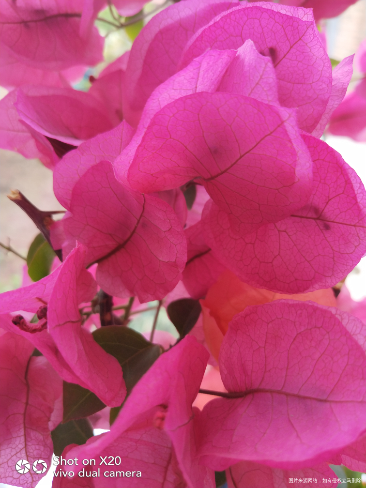 【发泄吐槽】善良与恶毒的对比