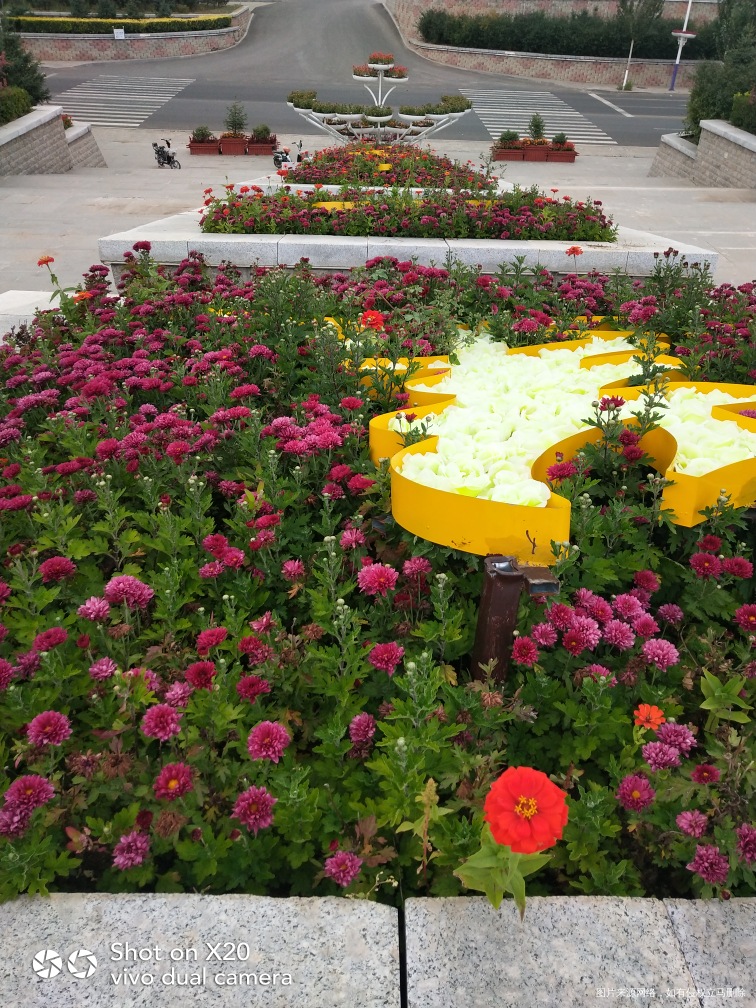 万花丛中一点红,数你最抢眼