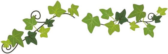 诉说心情——备孕路上的自己