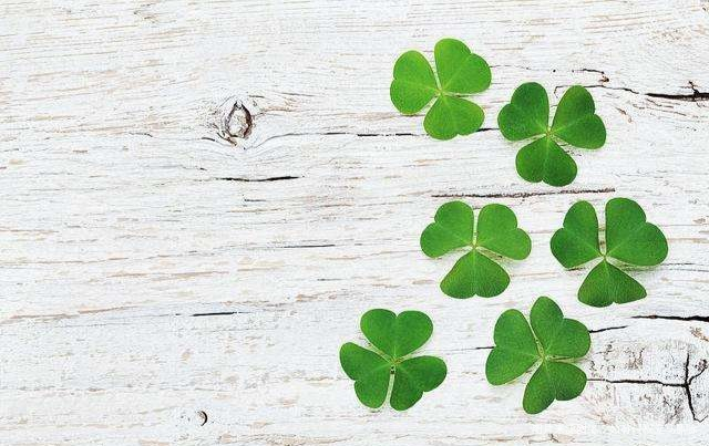 诉说心情——备孕路上的自己