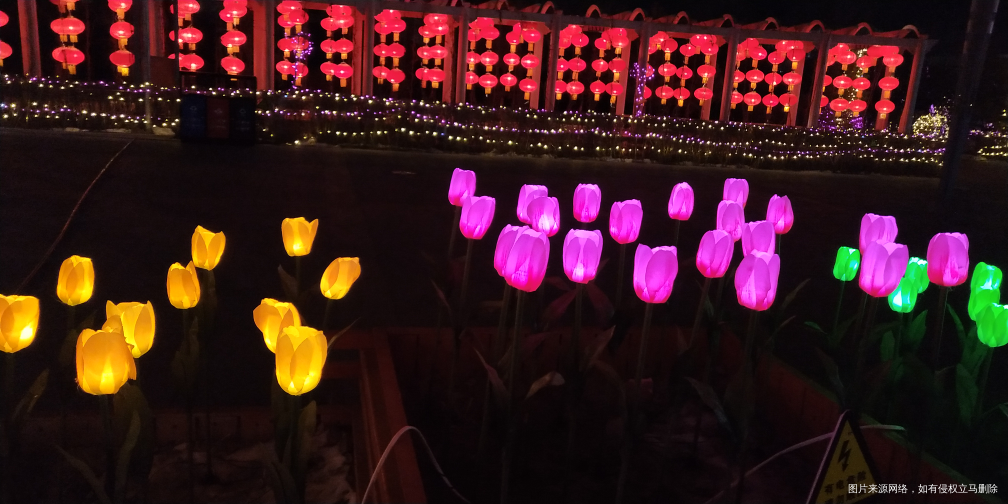 今年的广场彩灯很漂亮,但是现在不知道什么样了