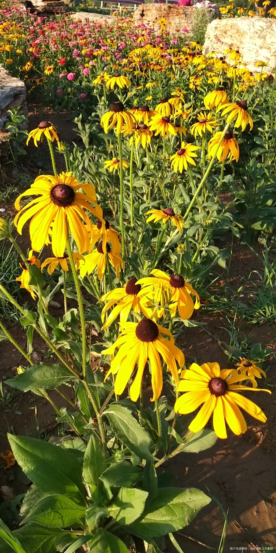 今天的天气,深秋就要来了的感觉