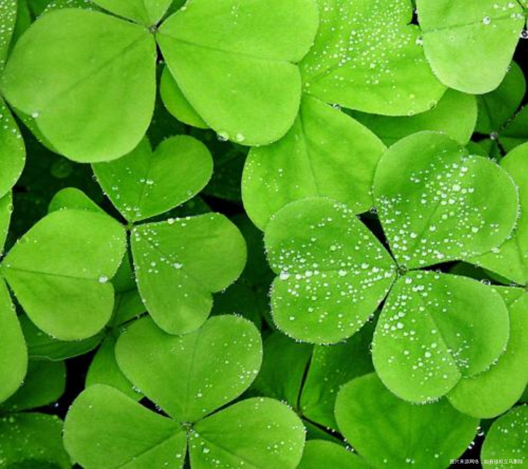 通过一些事一些人,突然领悟到