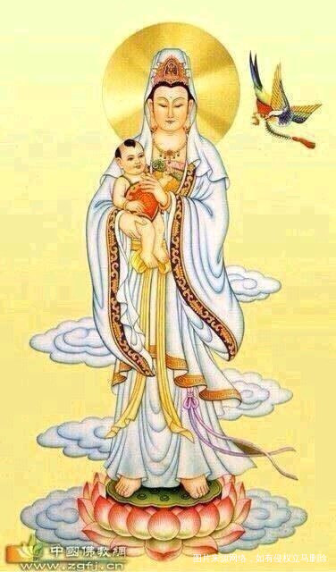 观音娘娘,求求你,大发慈悲,赐给我一个健康的男宝宝