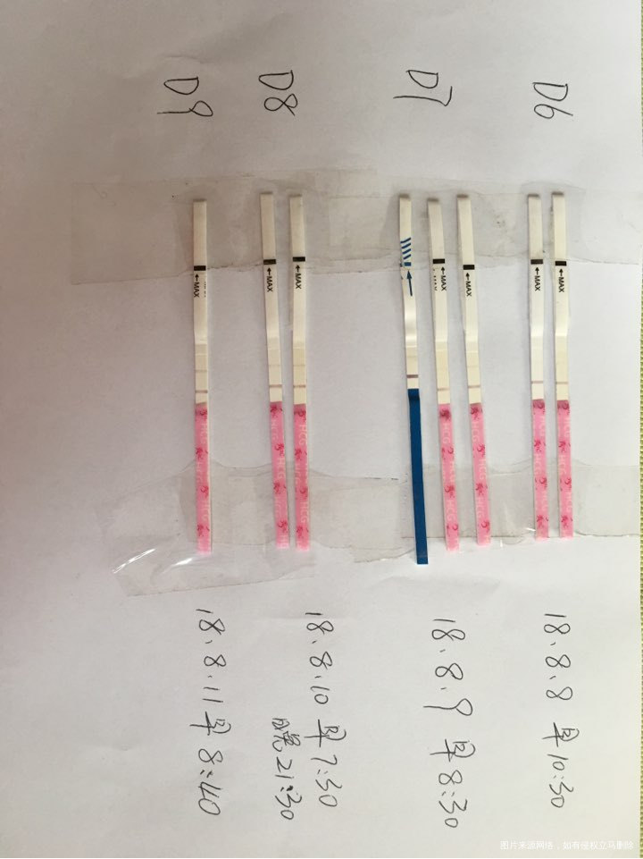 感觉时间过得好慢啊!好孕的姐妹都是怎么度过每一天的?
