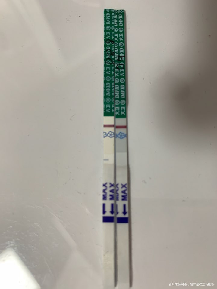 移植第九天...持续出血中