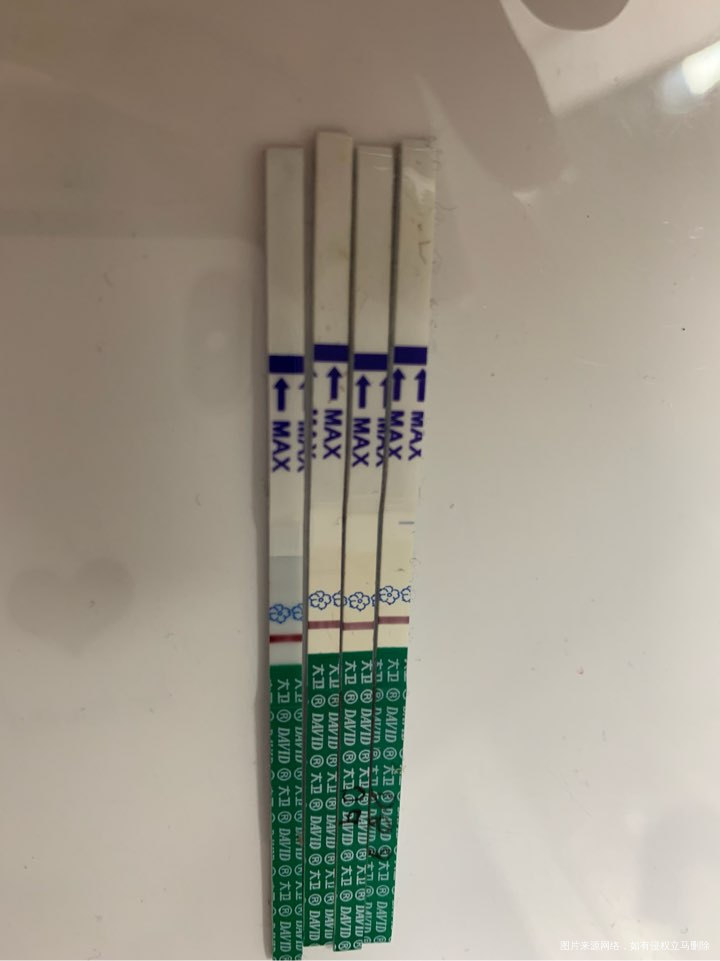 移植11天、出血第四天
