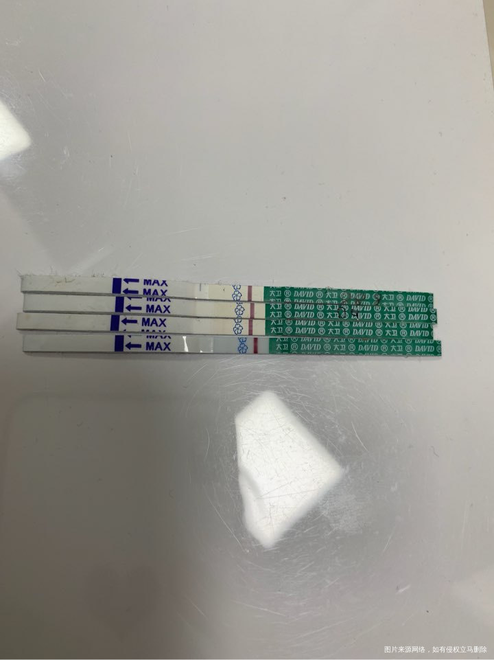 移植11天、出血第四天