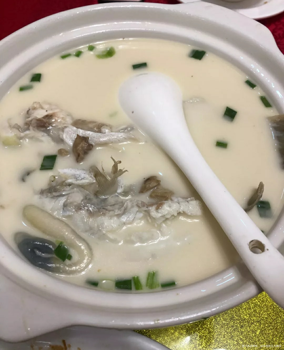 这河豚白汁和红烧都好吃,跟着老公混有肉吃