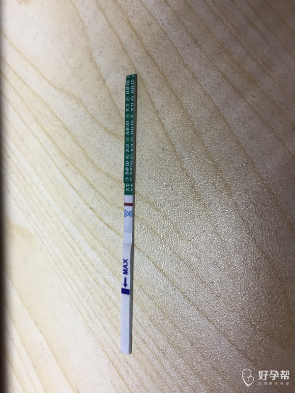 移植第十四天开奖日试纸大白板