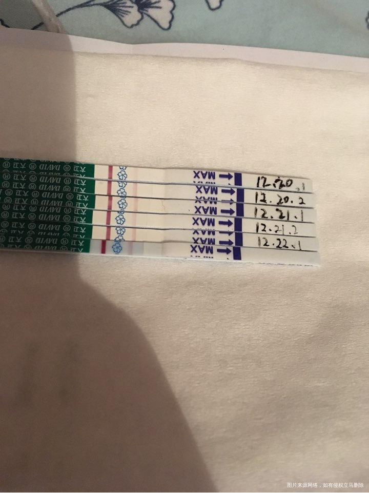 移植囊胚第5天,管不住自己的手。。。