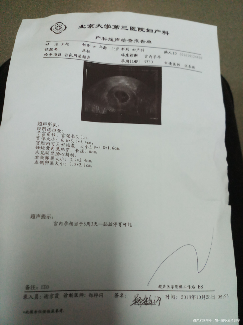 胚胎可能停育了怎么办