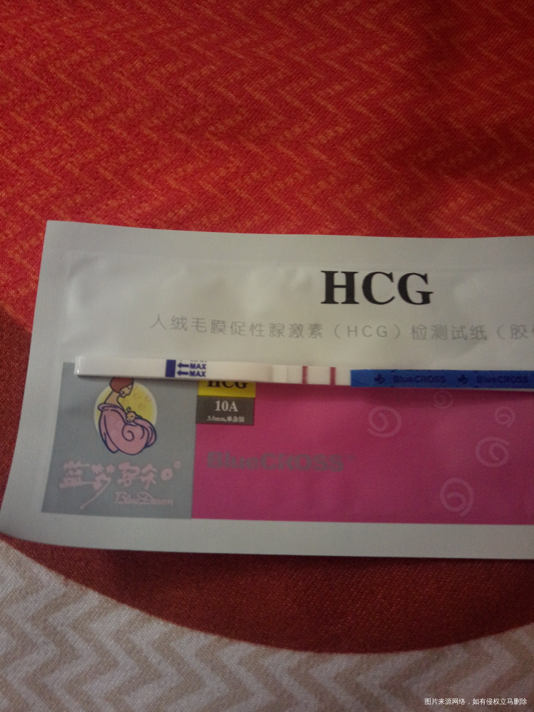 诱排周期,移植第十四天