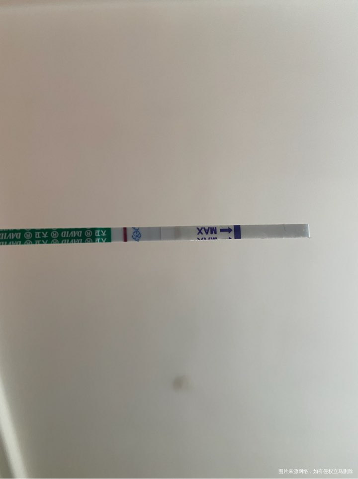 今天是我移植囊胚的第五天