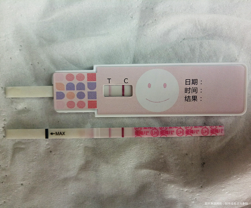 月经第11天,这几天都没有测体温