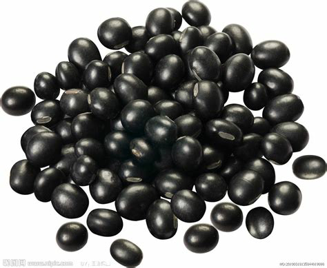 黑豆真的能促进卵泡生长吗？