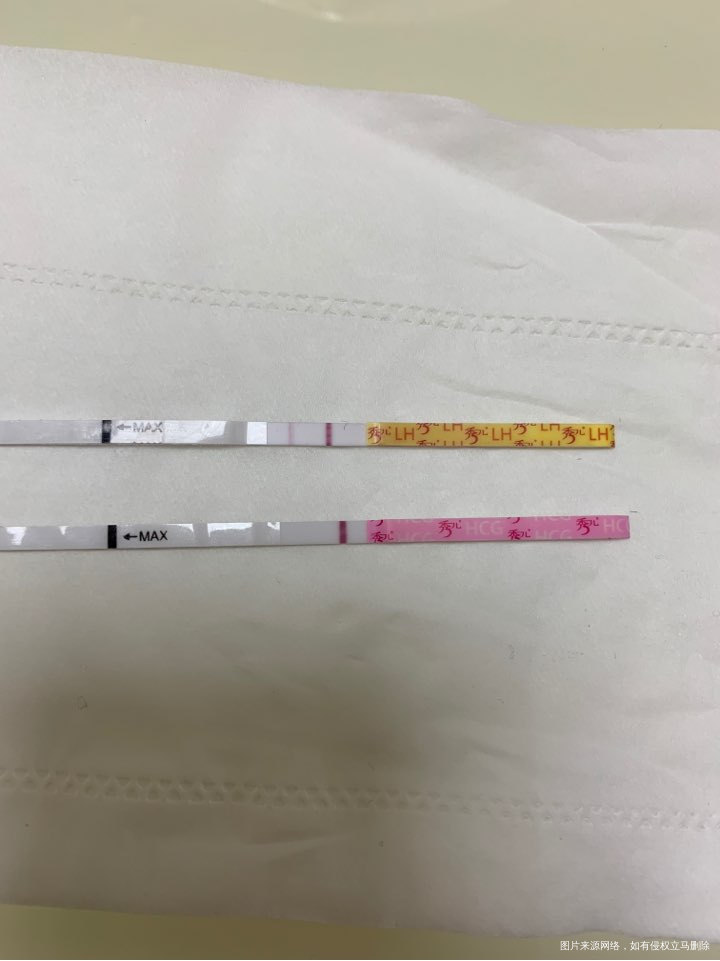 11.2排卵,早孕白板,排卵试纸阴