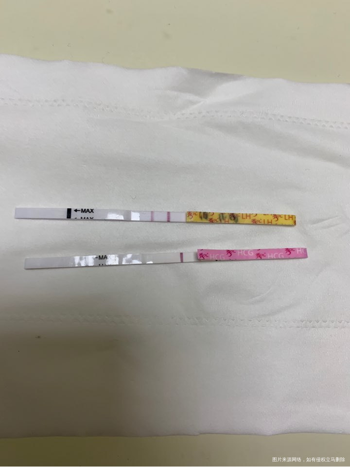 11月2号排卵,今天早孕白板