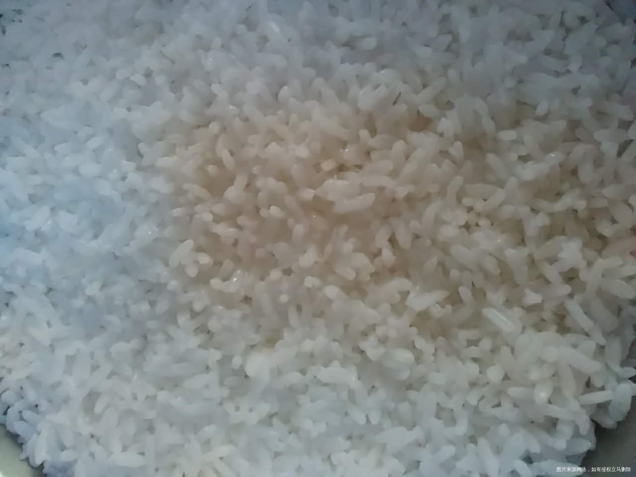 今晚的晚餐,洋葱炒猪肉+米饭