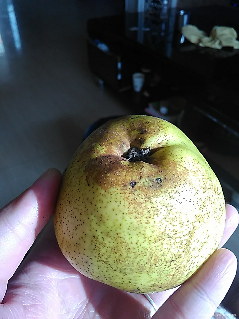 这个梨很丑。但是很甜很脆