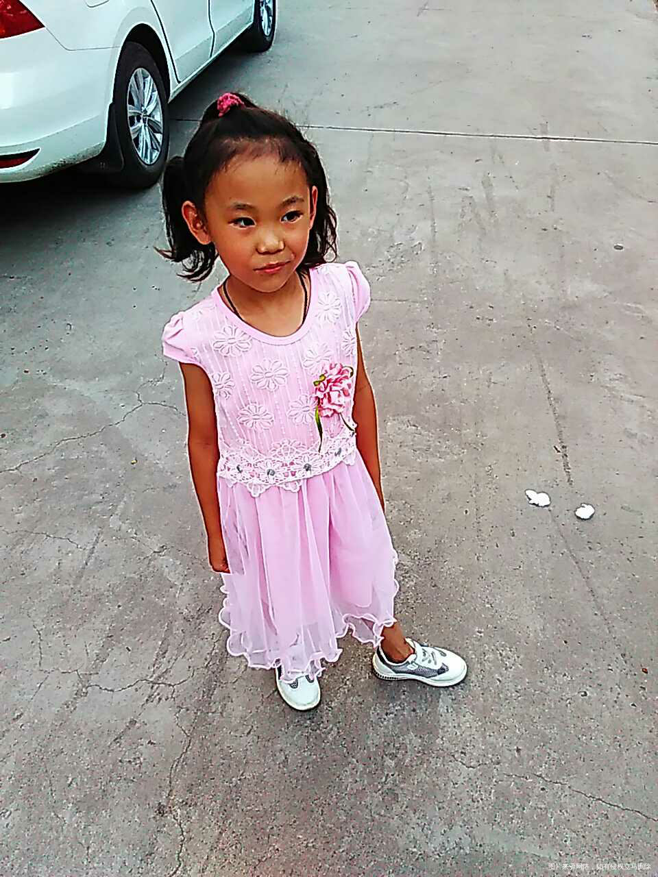 我是金金宝贝,我回来了,想我不