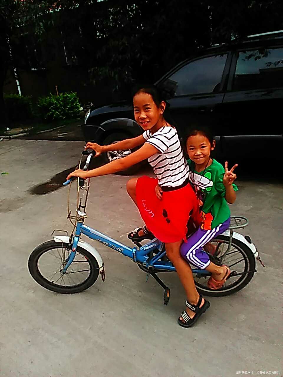 我是金金宝贝,我回来了,想我不