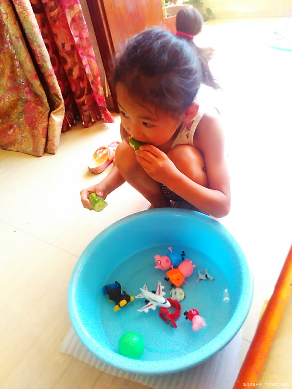 昨天把玩具都丢进乌龟那了