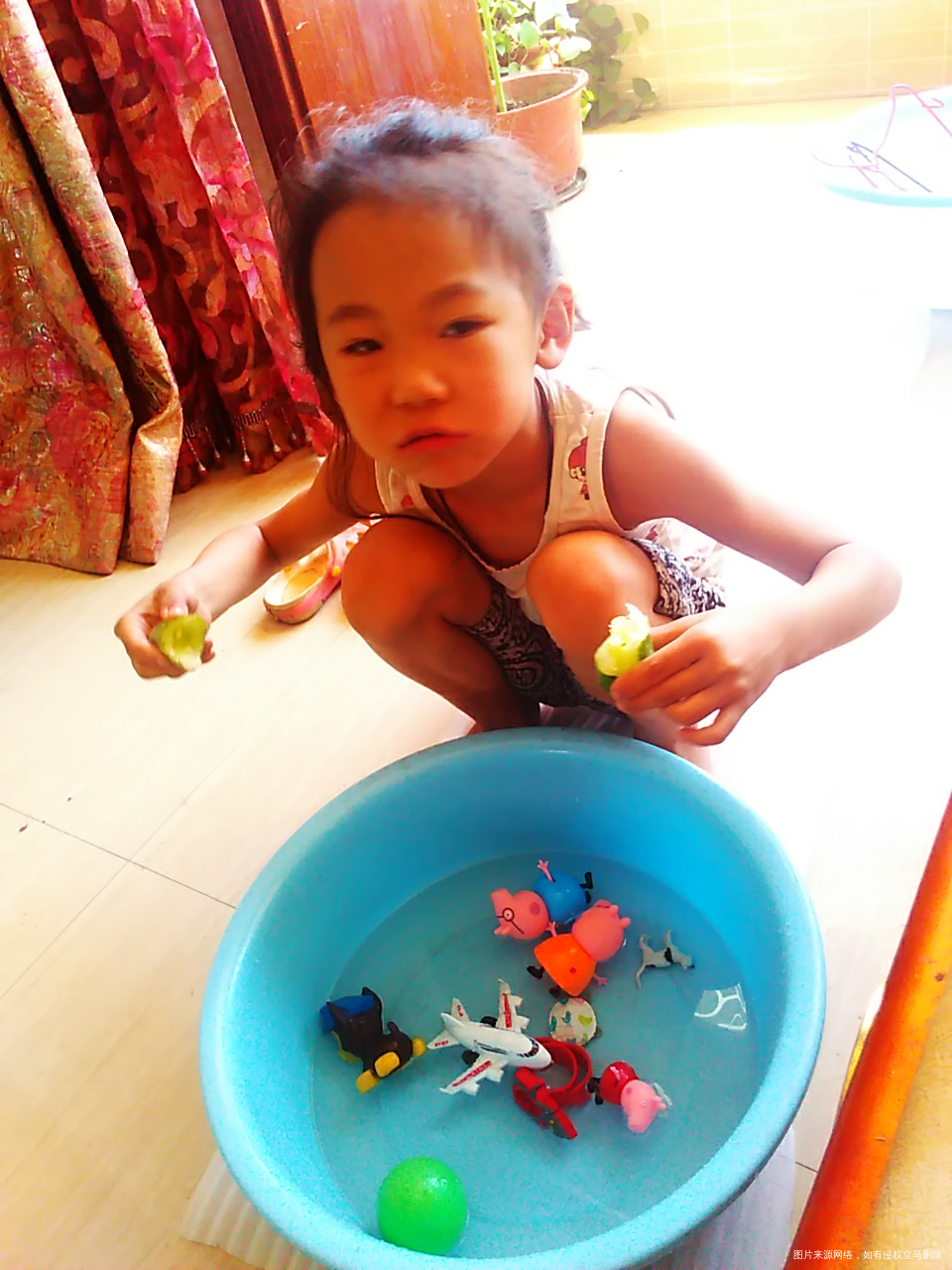 昨天把玩具都丢进乌龟那了