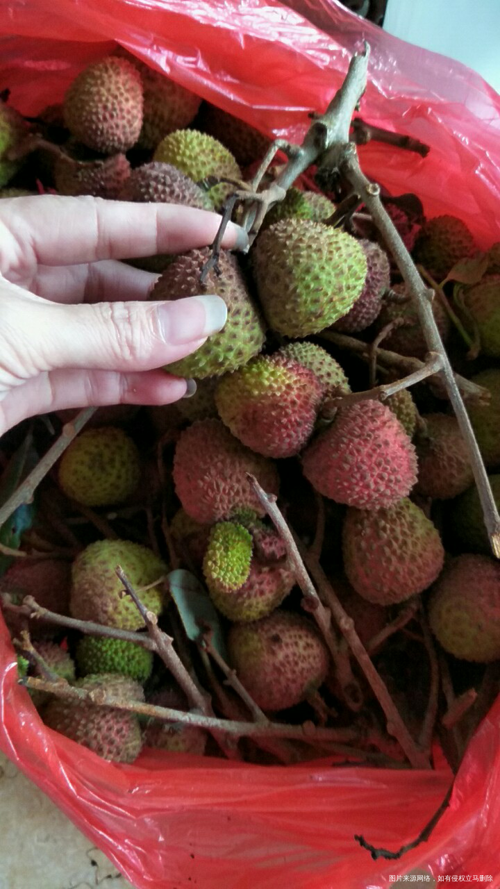 最近吃多荔枝了都上火了