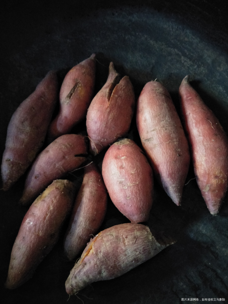 肚子小小的多吃点红薯长胎哈哈