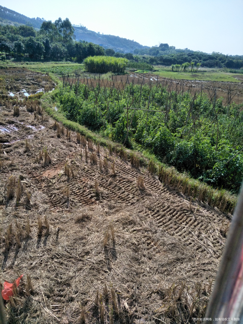 今天我家最小的小王子已经17天囖