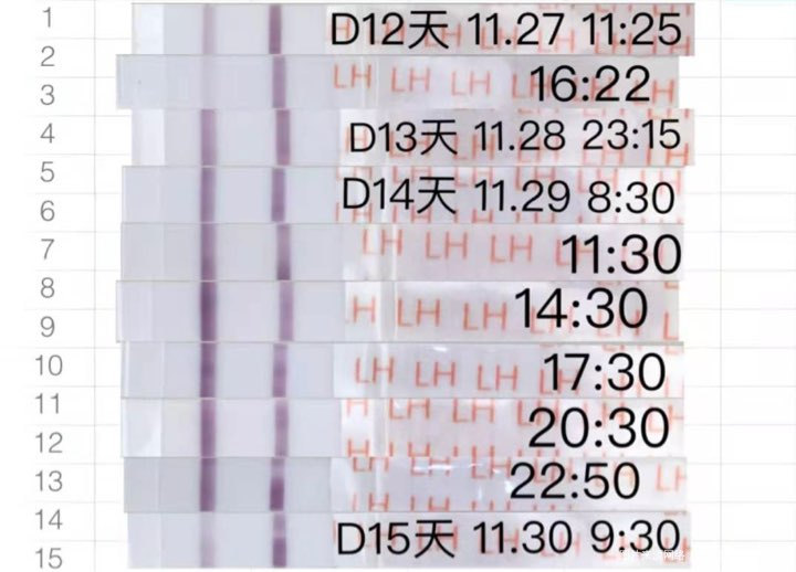 排卵时间怀男孩的成功经验分享