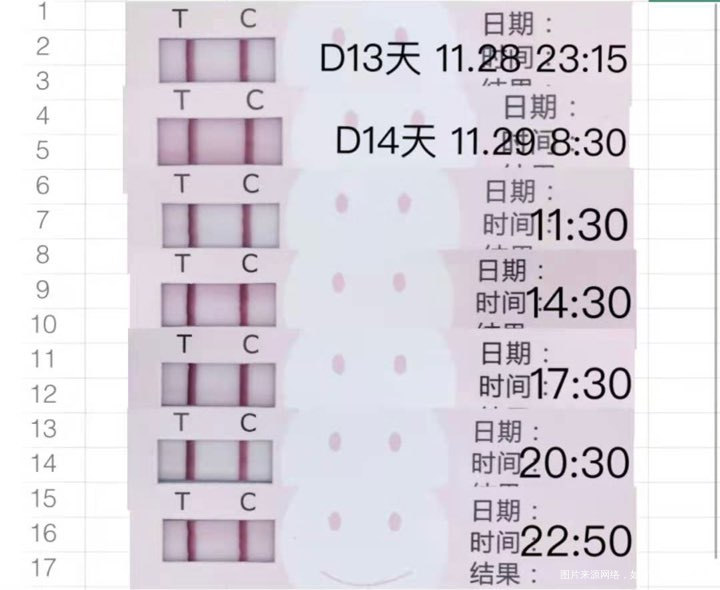 排卵时间怀男孩的成功经验分享