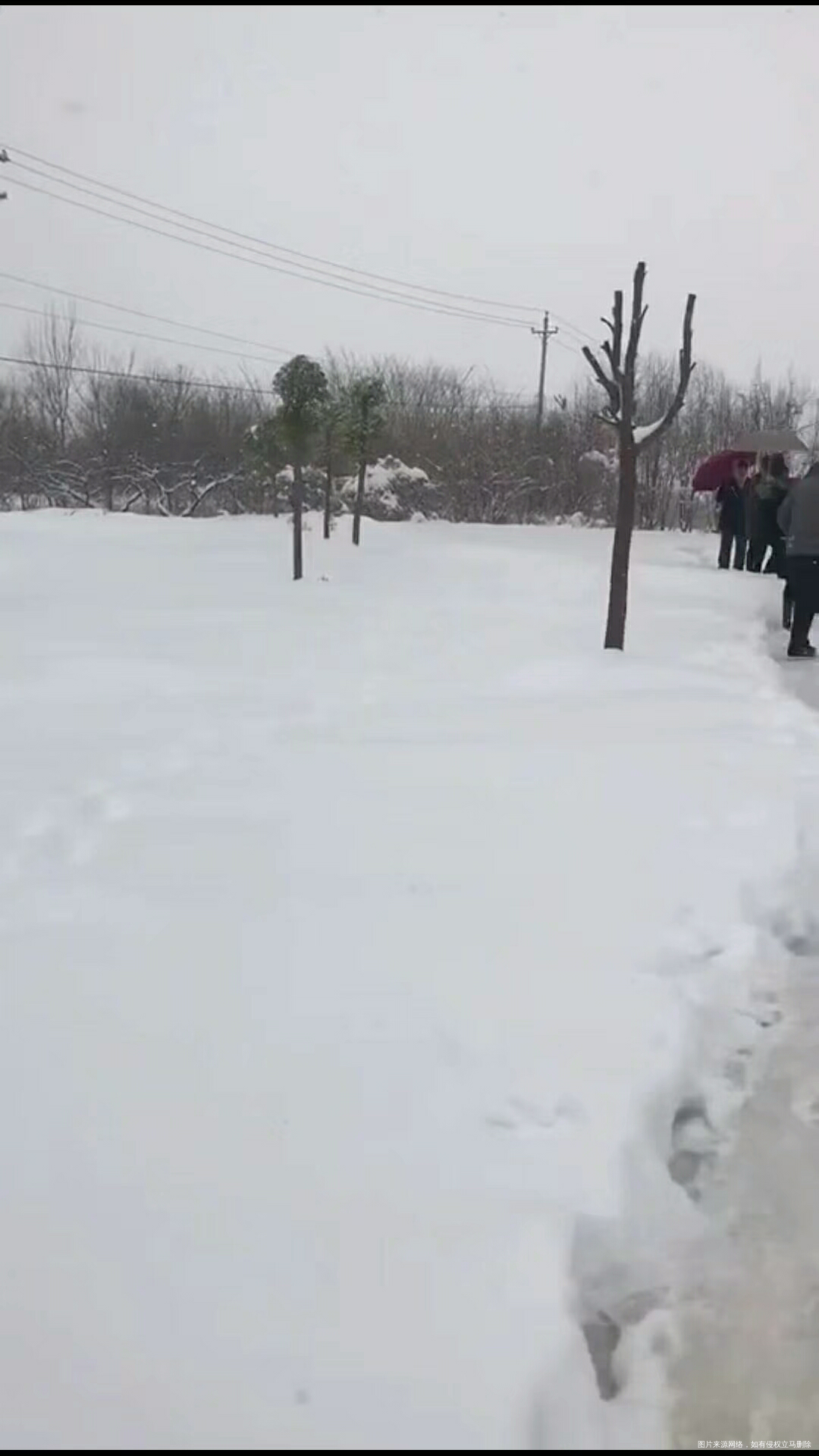 看看这雪下的多厚啊!雪景还是挺美的…