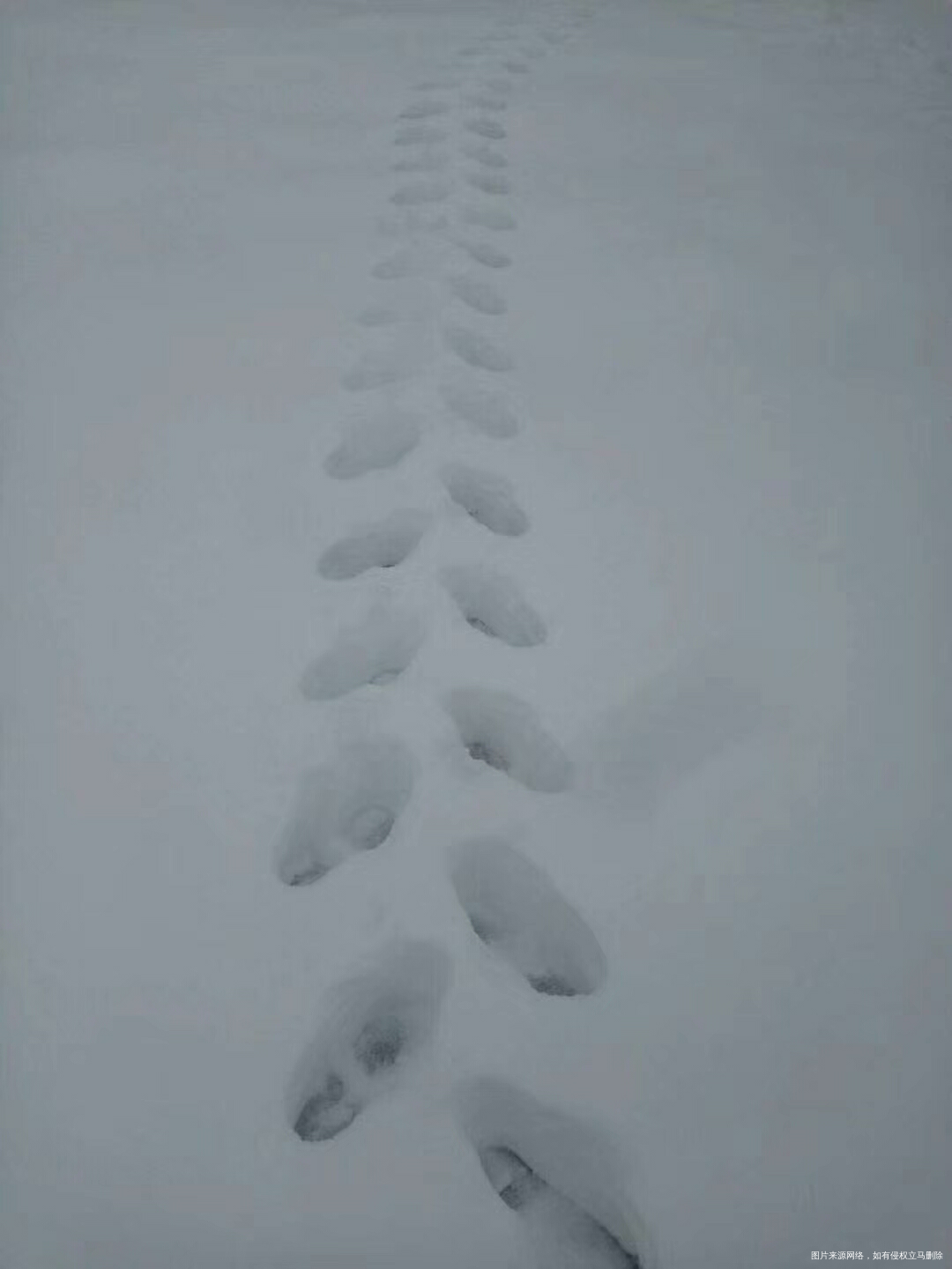 看看这雪下的多厚啊!雪景还是挺美的…