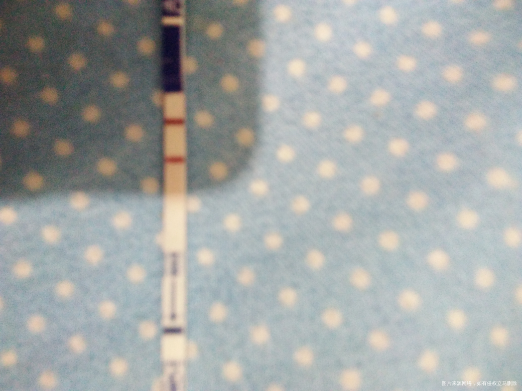 医院确定我怀孕啦🌹🌹🌹