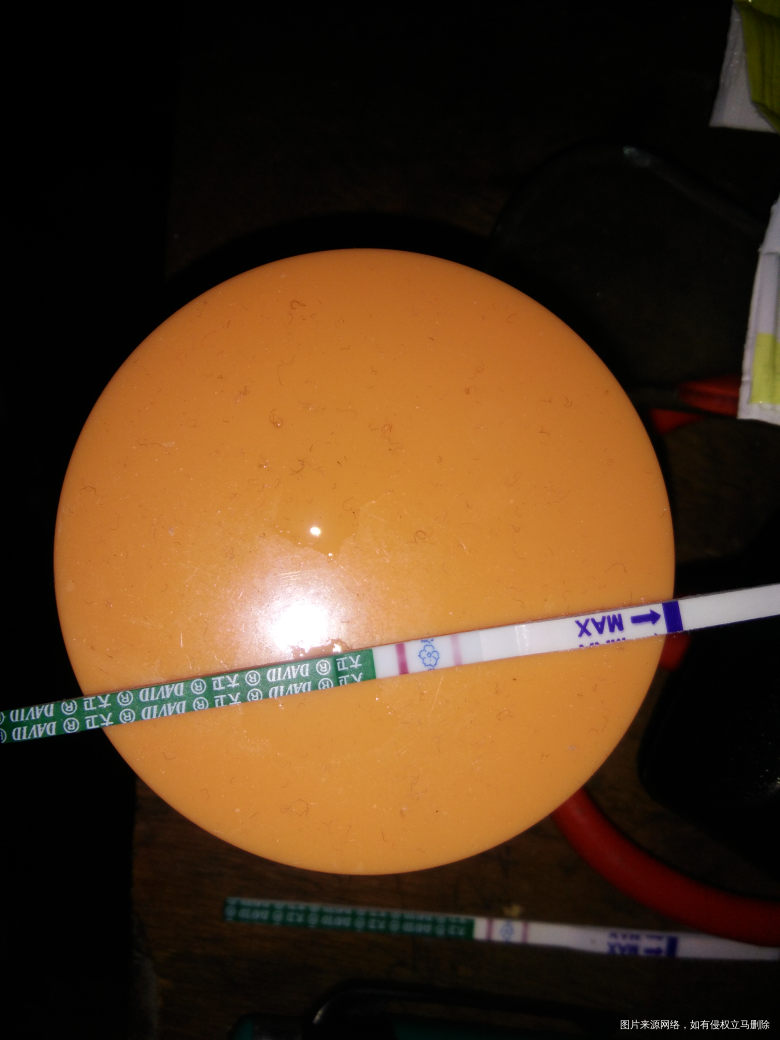 我今天移植第三十二天