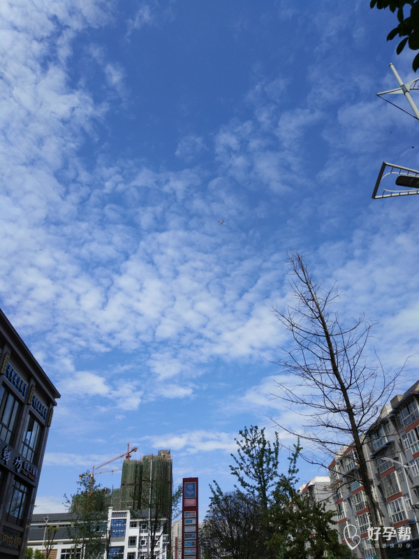 雨后天晴的天空最美丽,成都难得看见这么蓝蓝的天