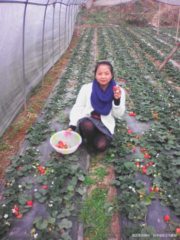 【家长里短】感谢妈妈对我的爱