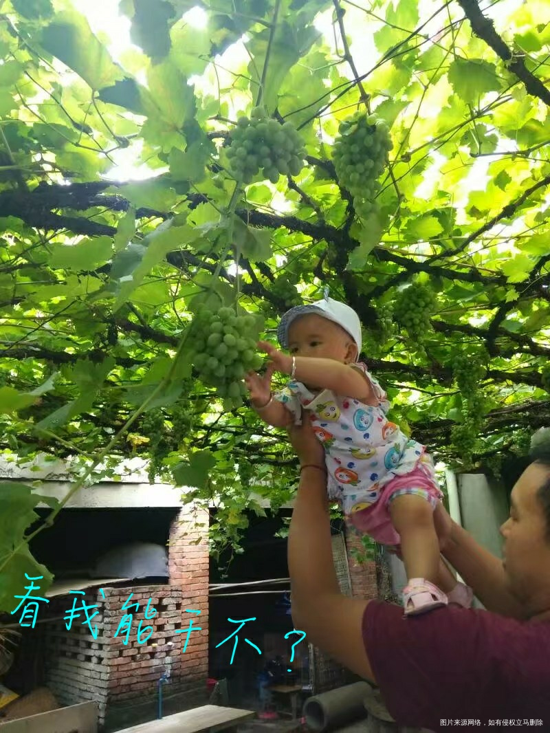 【我家宝爸带娃最有趣】+逗比的日常之喜剧人生