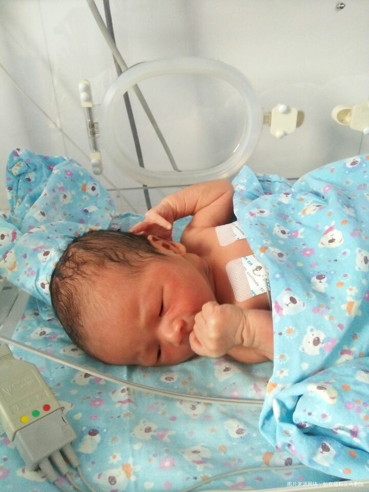 《成长记》宝贝的成长之路!