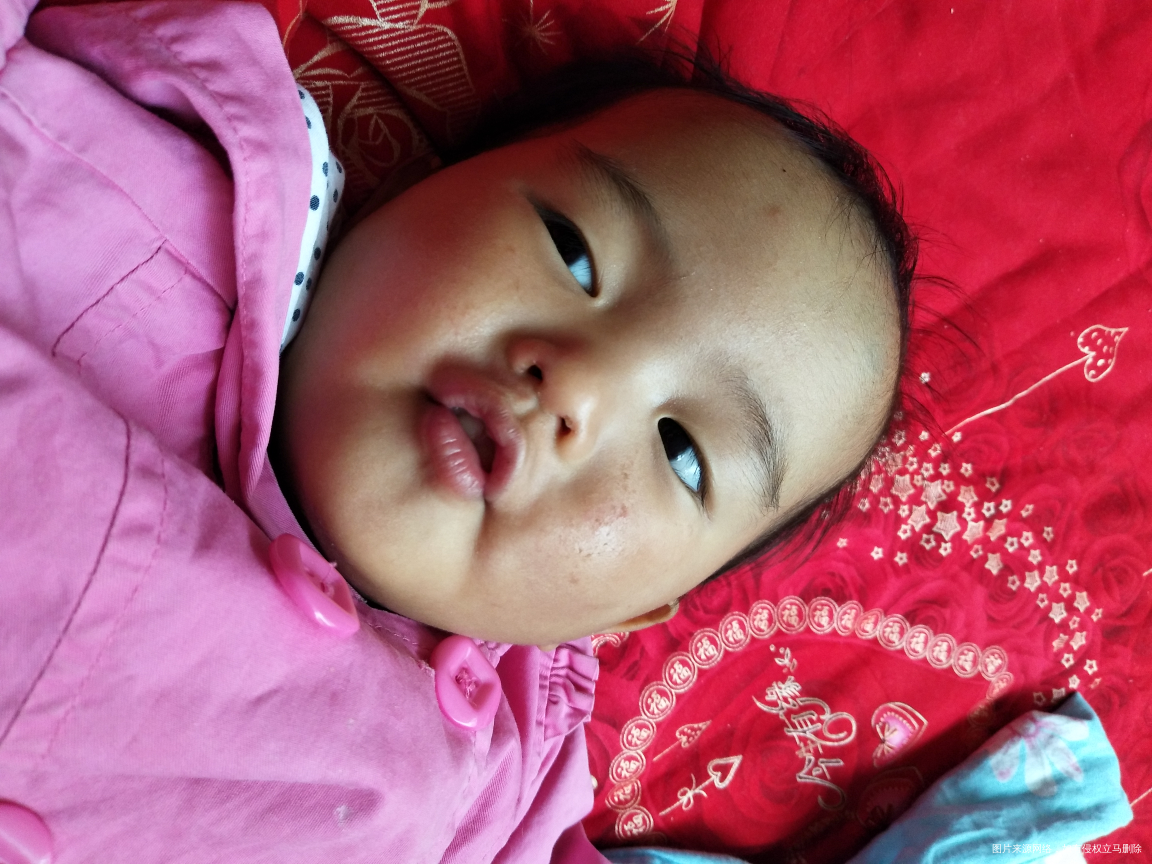 看着她一天天的有精神去玩耍了,真的挺高兴的,下午宝贝以后在也不会受到任何的伤害,...