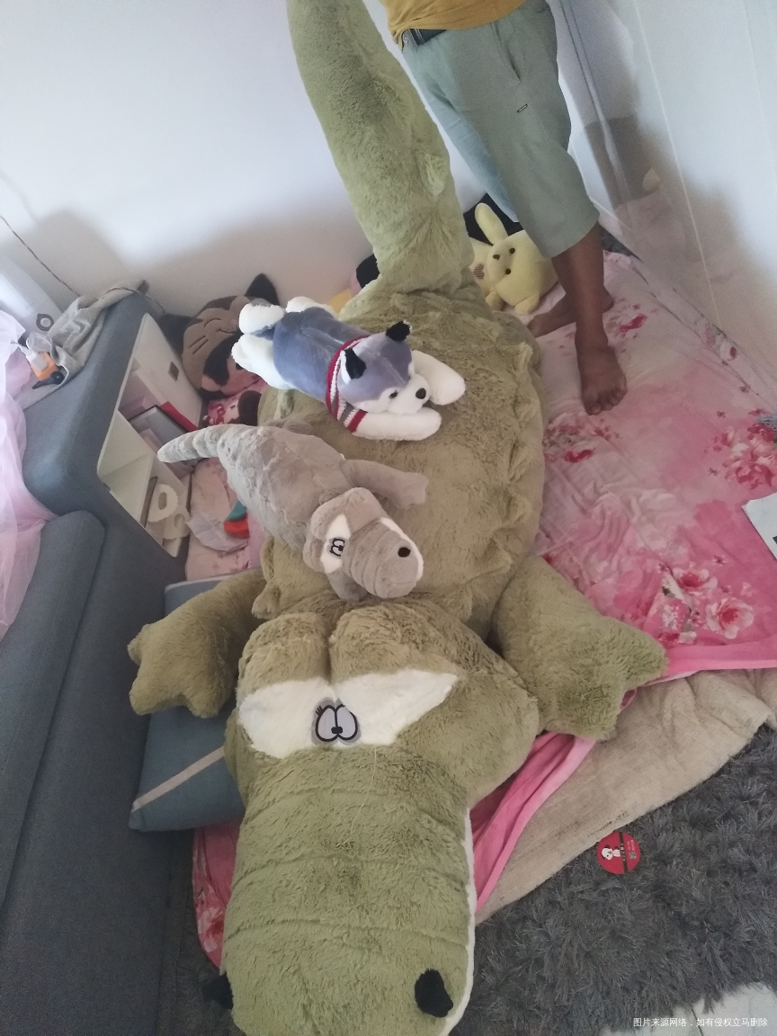 我迟到的生日礼物到了😁